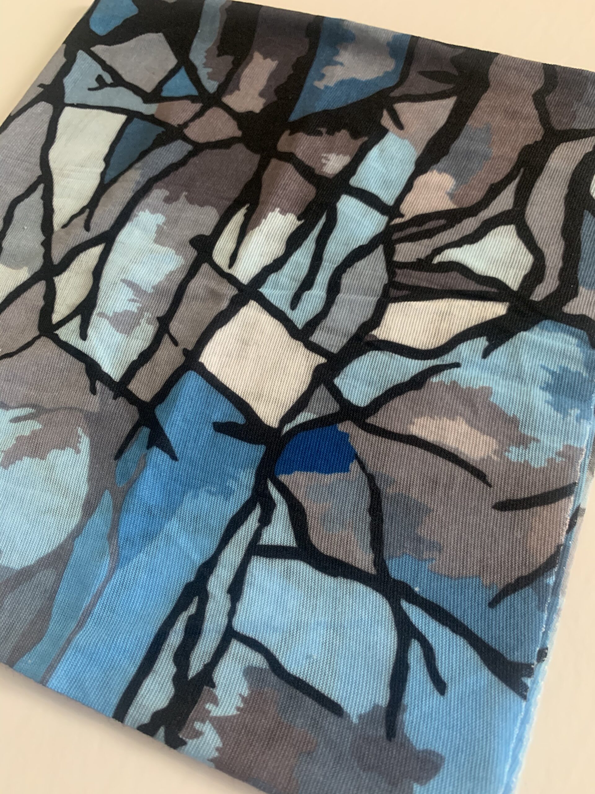 23B80974-6CC8-4C6F-A6F0-A2E90B58C595