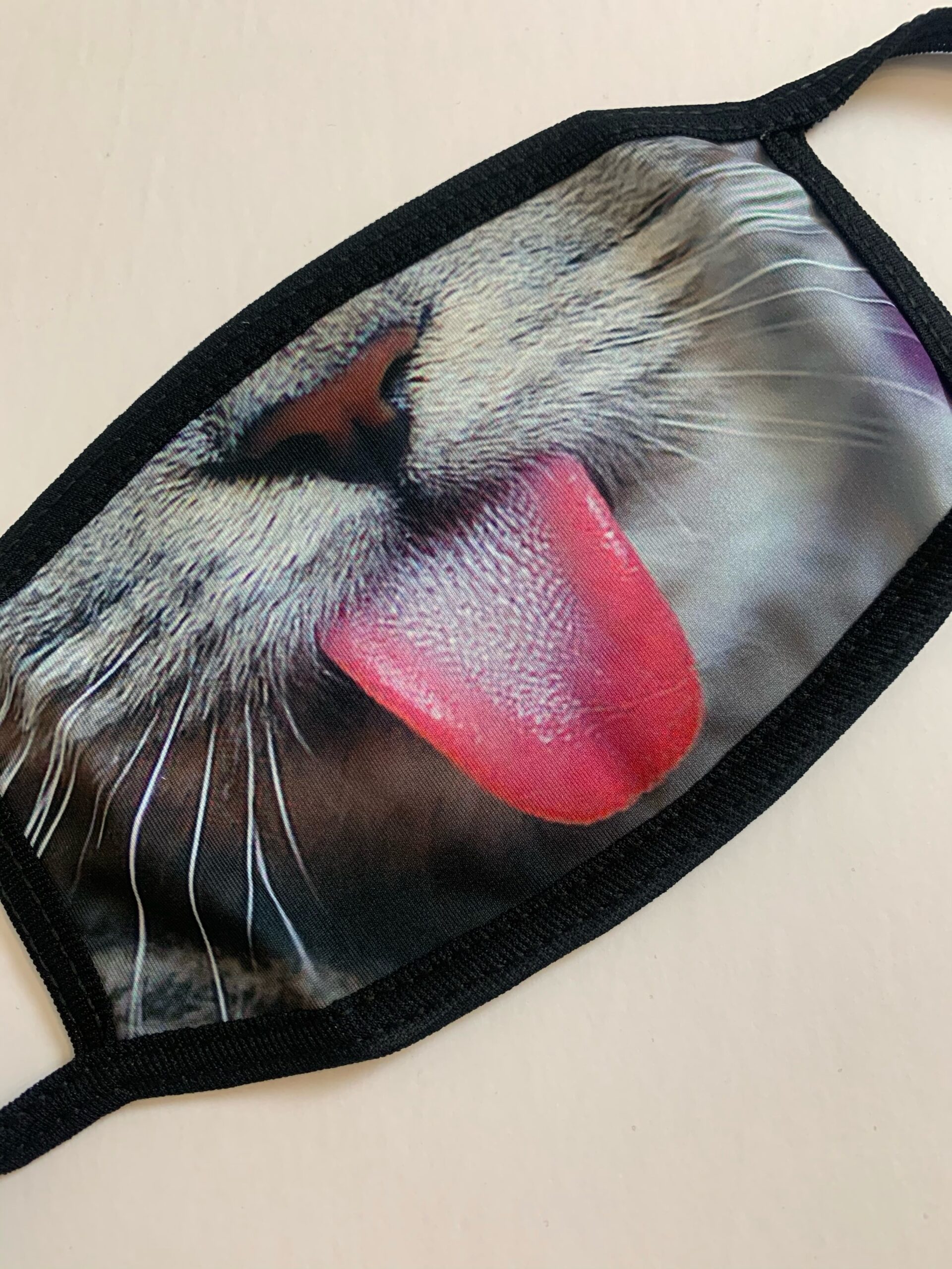 maskkitty